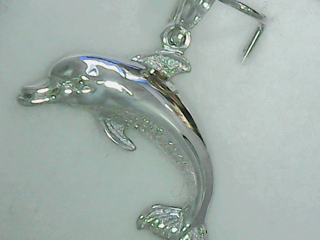 SS jumping dolphin