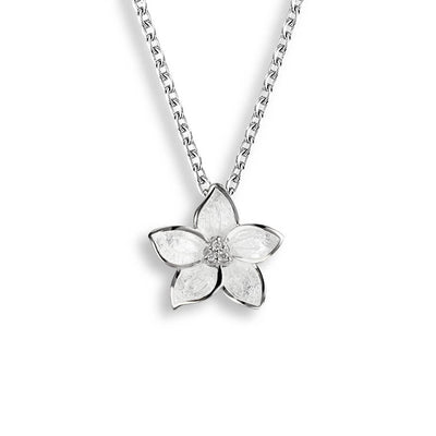 SS NB wht flower with wht sapp