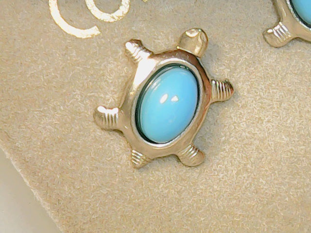 turquoise turtle