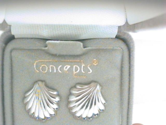 large scallop shells