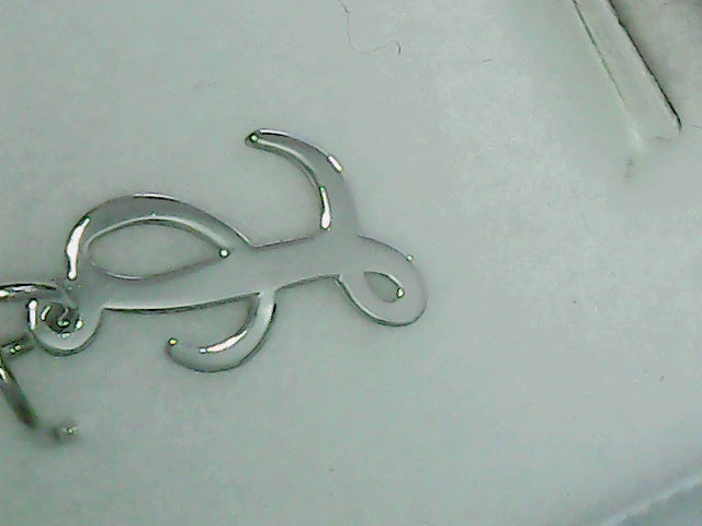 SS script L